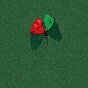 8.5x8.5 in Green and Red Butterfly  Christmas Art Print Out